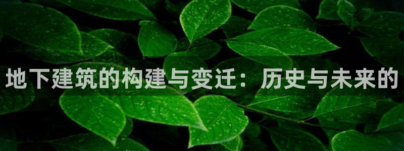 意昂体育3招商电话：地下建筑的构建与变迁：历史与未来的