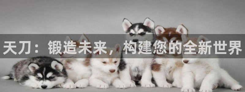 意昂3开户：天刀：锻造未来，构建您的全新世界