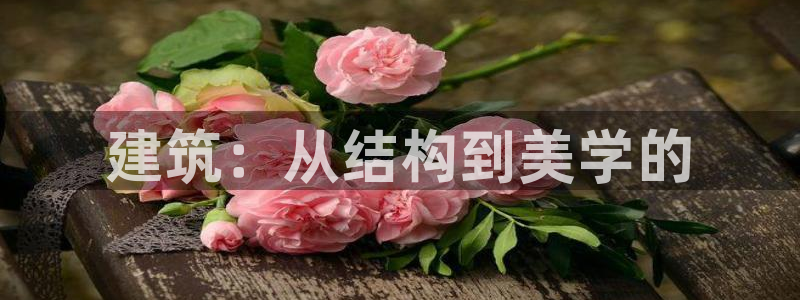 意昂3娱乐平台：建筑：从结构到美学的